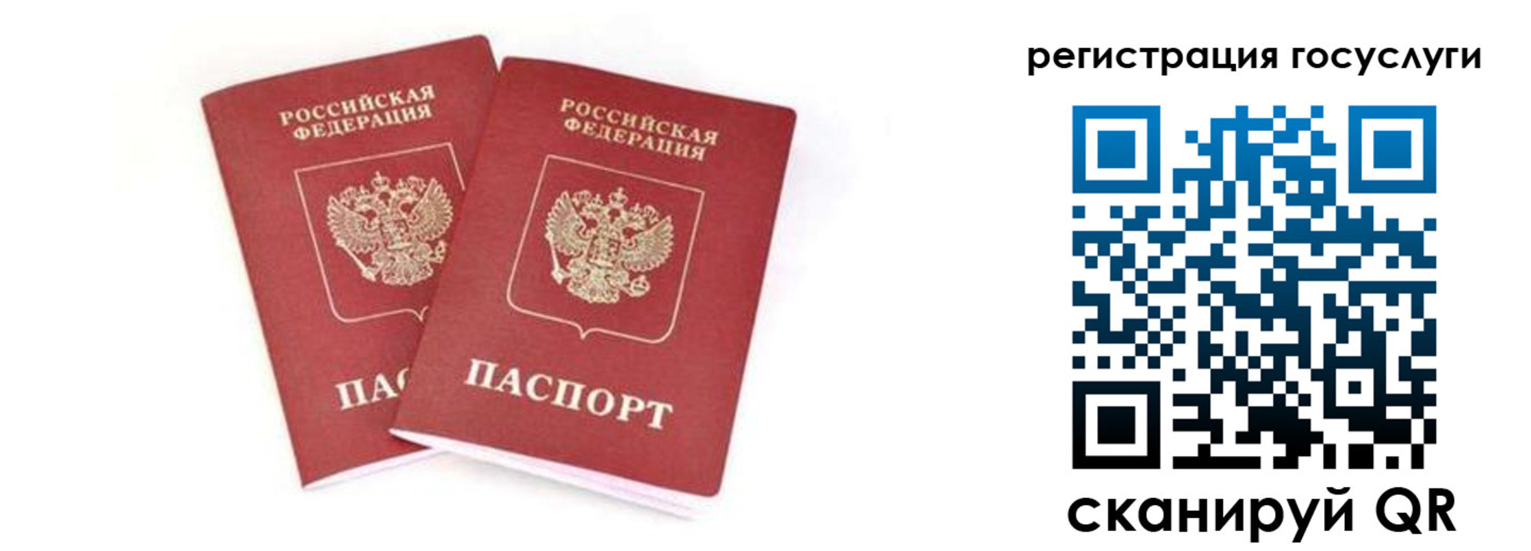 прописка в квартире в Острогожске